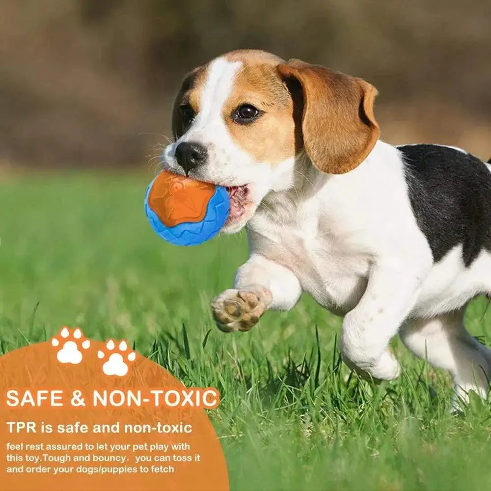 Durable Rubber Dog Chew Toys For Large Breed Dental Health