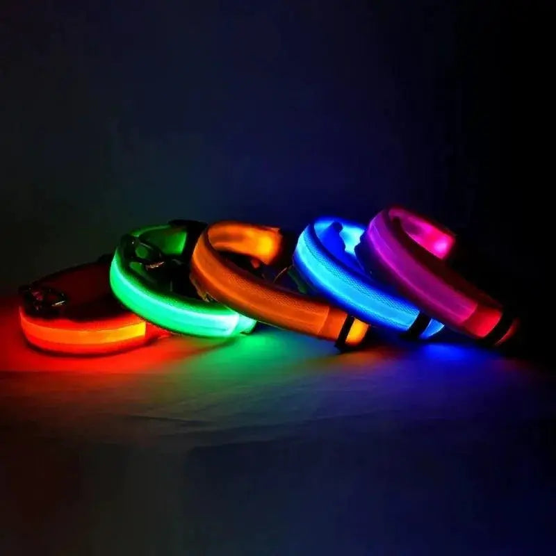 LED Night Safety Dog Leash And Collar Set For Visibility