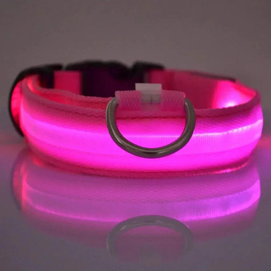 LED Night Safety Dog Leash And Collar Set For Visibility