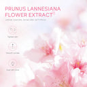 Laikou Sakura Cream for Radiant Skin