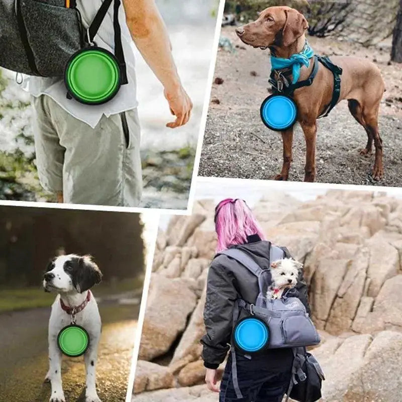 Portable Silicone Dog Bowl Soft Easy Clean Travel Feeder