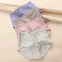 Plus Size Cotton Panties for Comfort