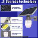 Outdoor Solar Garden Light With Remote