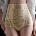 Tummy Control Ice Silk Briefs for Women