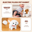 Electric Plush Dog Interactive Walking Sound Toy