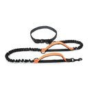 High Quality Hands-Free Dog Leash with Dual Bungee for Large Dogs