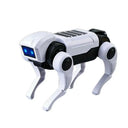 DIY Mechanical Dog - Educational Science Toy Kit