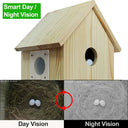 Real-Time Bird Watching Nest Box Camera