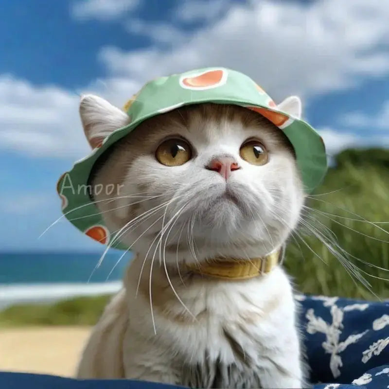 Cute Cat And Dog Sun Hat With Exposed Ears For Pets Outdoor