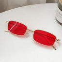 Unisex Vintage Rectangle Sunglasses for Men and Women