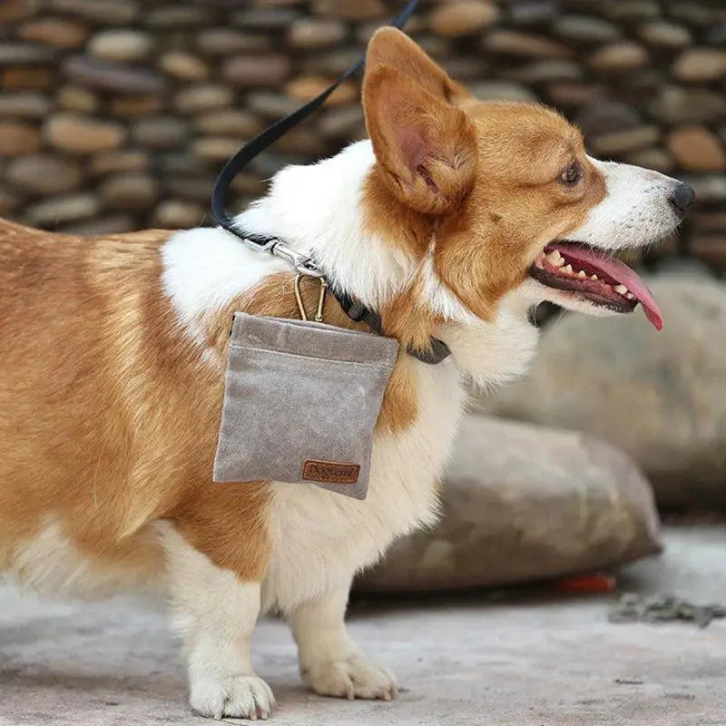 Dog Training Snack Bag Portable Treat Pouch for Pets