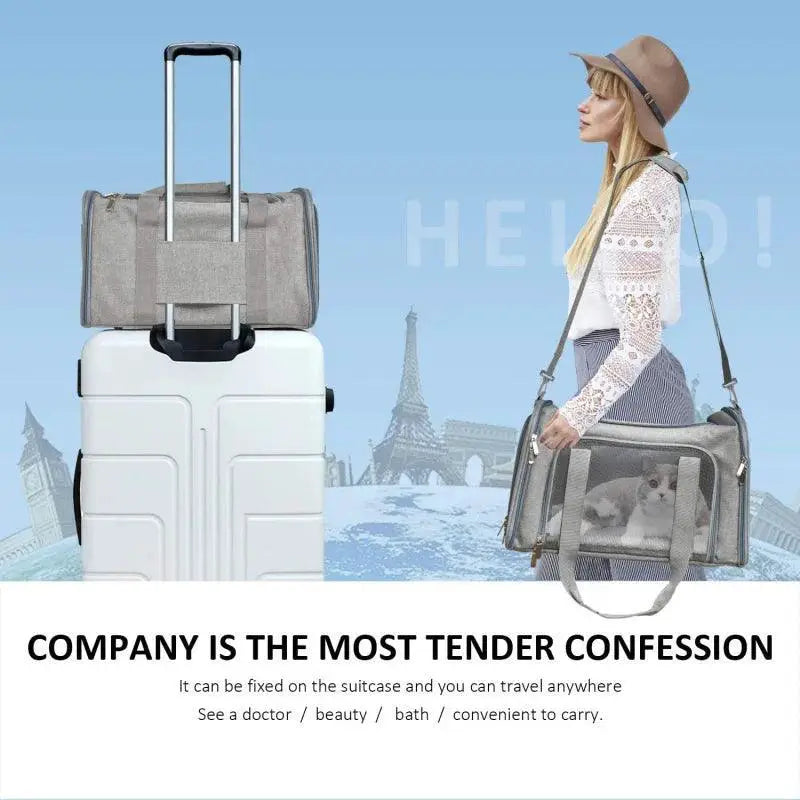 PawVoyage Pet Carrier Bag Airline Approved Cat Carrier