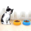 Colorful Travel Pet Bowl for Dogs & Cats Eco-Friendly Dish