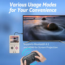 Anbernic Hall Game Console
