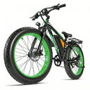 Eoeotwo High Power Fat Tire Ebike