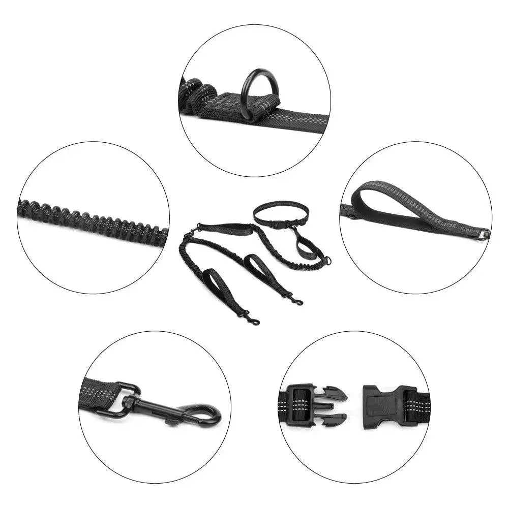 Hands Free Dog Leash With Dual Bungee For Large Dogs Outdoor