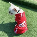 Adidog Sweater Keeps Small Dogs Warm