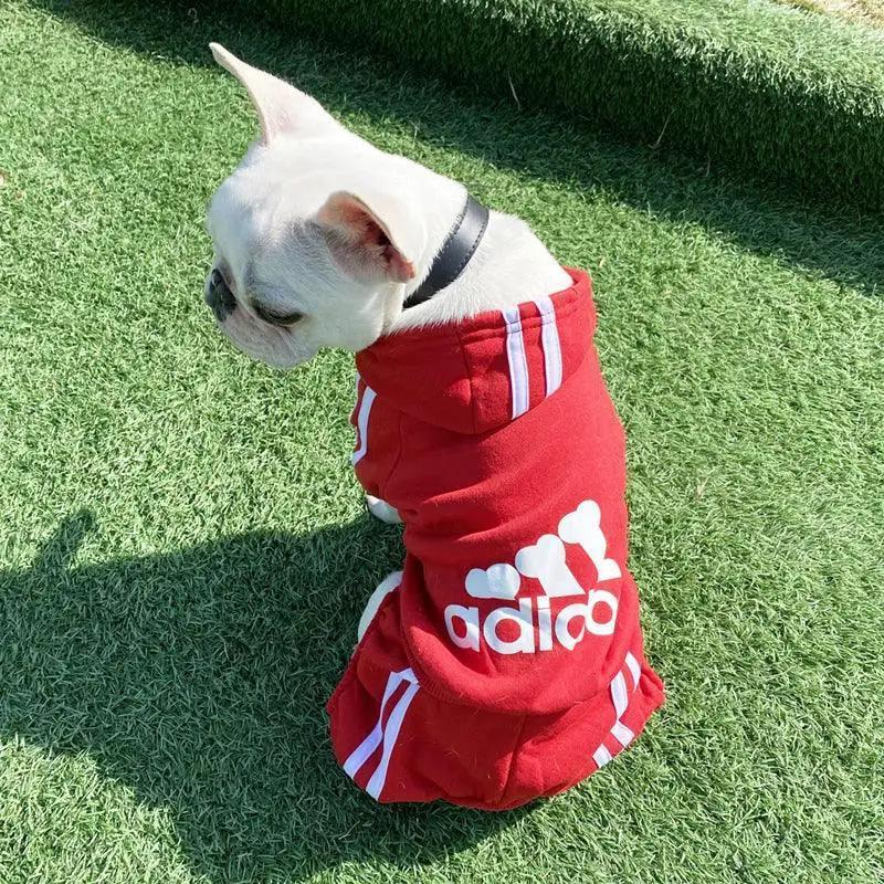 Adidog Luxury Winter Sweater For Small To Medium Dogs