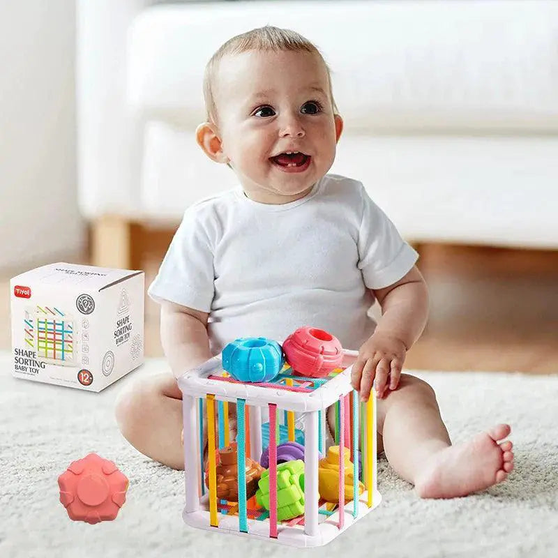 Colorful Shape Sorting Educational Toy for Kids MMloveBB