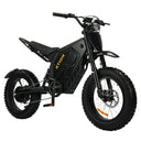 Xtion Adult Electric Mountain Bike