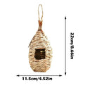 Eco Parrot Birdhouse for Outdoor Gardens