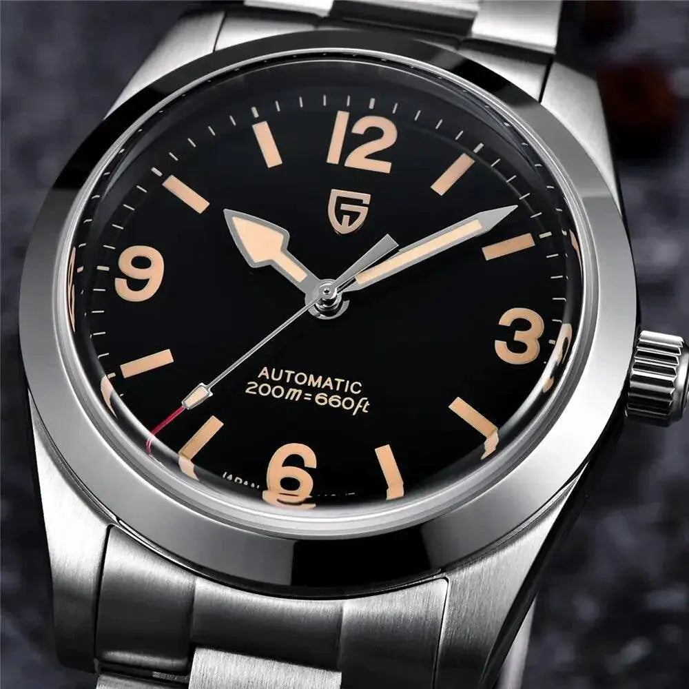 Pagani Design Mens Automatic Self Winding Luxury Watch