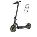Ladped 10 Inch Foldable Electric Scooter