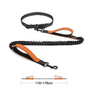 High Quality Hands-Free Dog Leash with Dual Bungee for Large Dogs