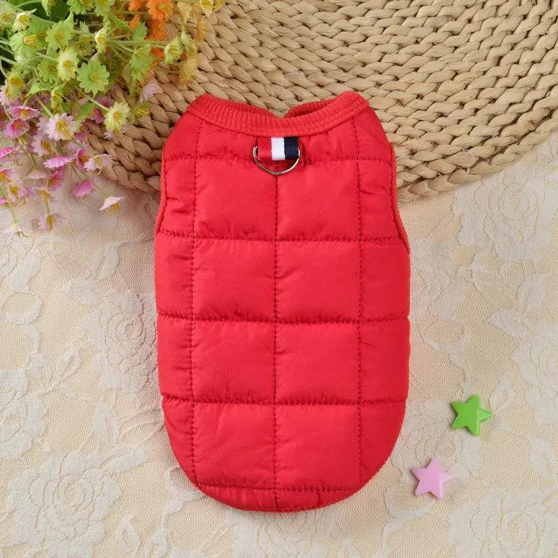 Windproof Winter Dog Jacket For Small Dogs Warm Coat