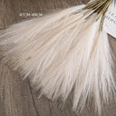 Elegant Boho Fluffy Pampas Grass for Weddings and Home Decor