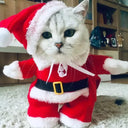 Adorable Santa Costume for Pets - Warm Holiday Outfit