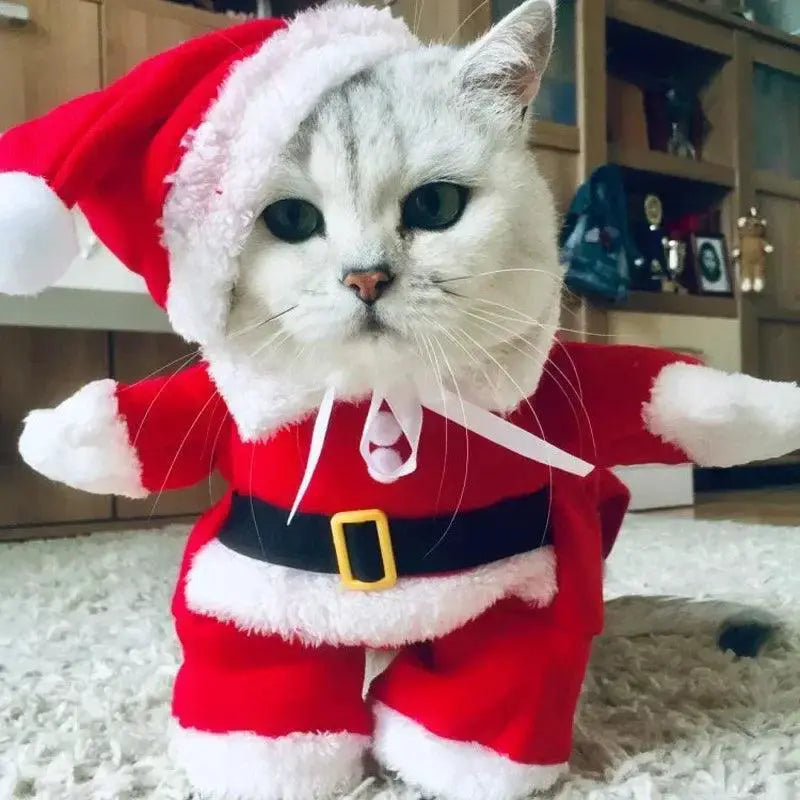 Adorable Santa Costume For Pets Warm Holiday Outfit