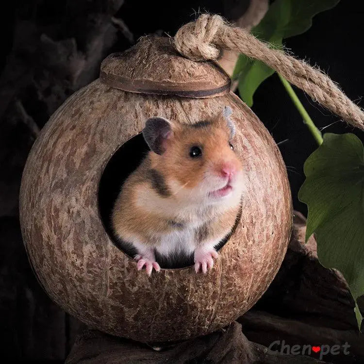 Natural Coconut Small Pet Cage And Wooden Hamster House