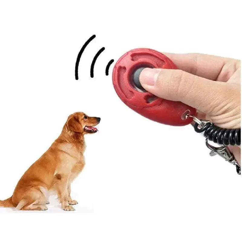 Pet Clicker Trainer Strengthen Bond With Sound Training