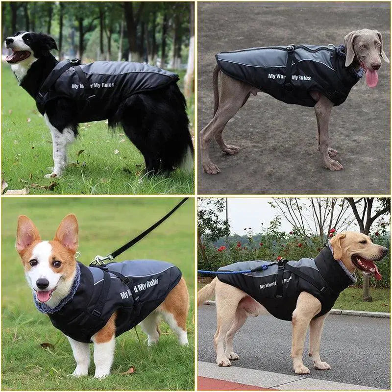Winter Dog Coat With Harness And Furry Collar For Big Breeds