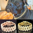 Elegant Diamond Dog Collar for Walks