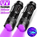 UV Blacklight Flashlight Detector for Pet Urine and Bugs