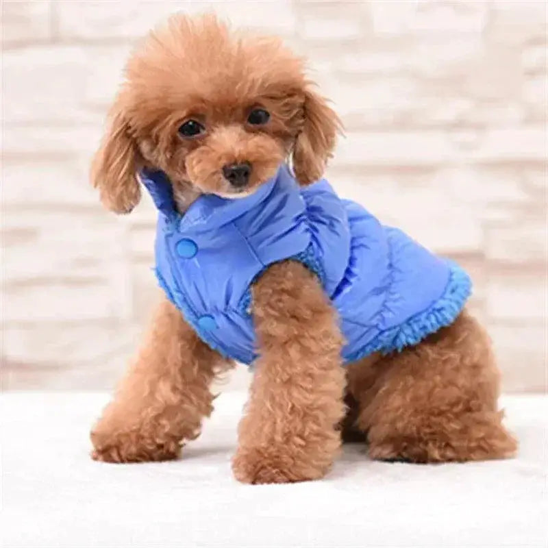 Winter Pet Down Jacket Cozy Coat For Small Dogs And Cats