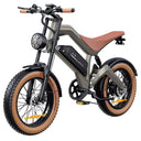 Dyu M20 Electric Fat Tire Bike
