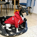 Waterproof Reflective Dog Coat for Ultimate Winter Style