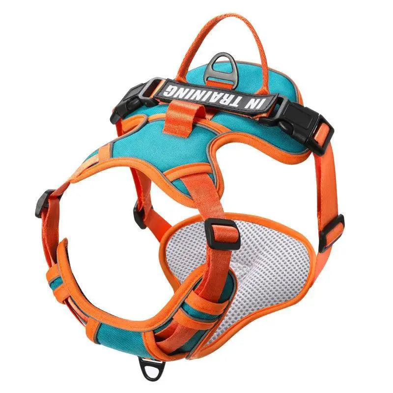 Reflective Dog Harness for Safe Walks — product view 8