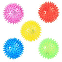 Colorful Luminous Pet Teething Toy for Dogs Bright Elastic Fun