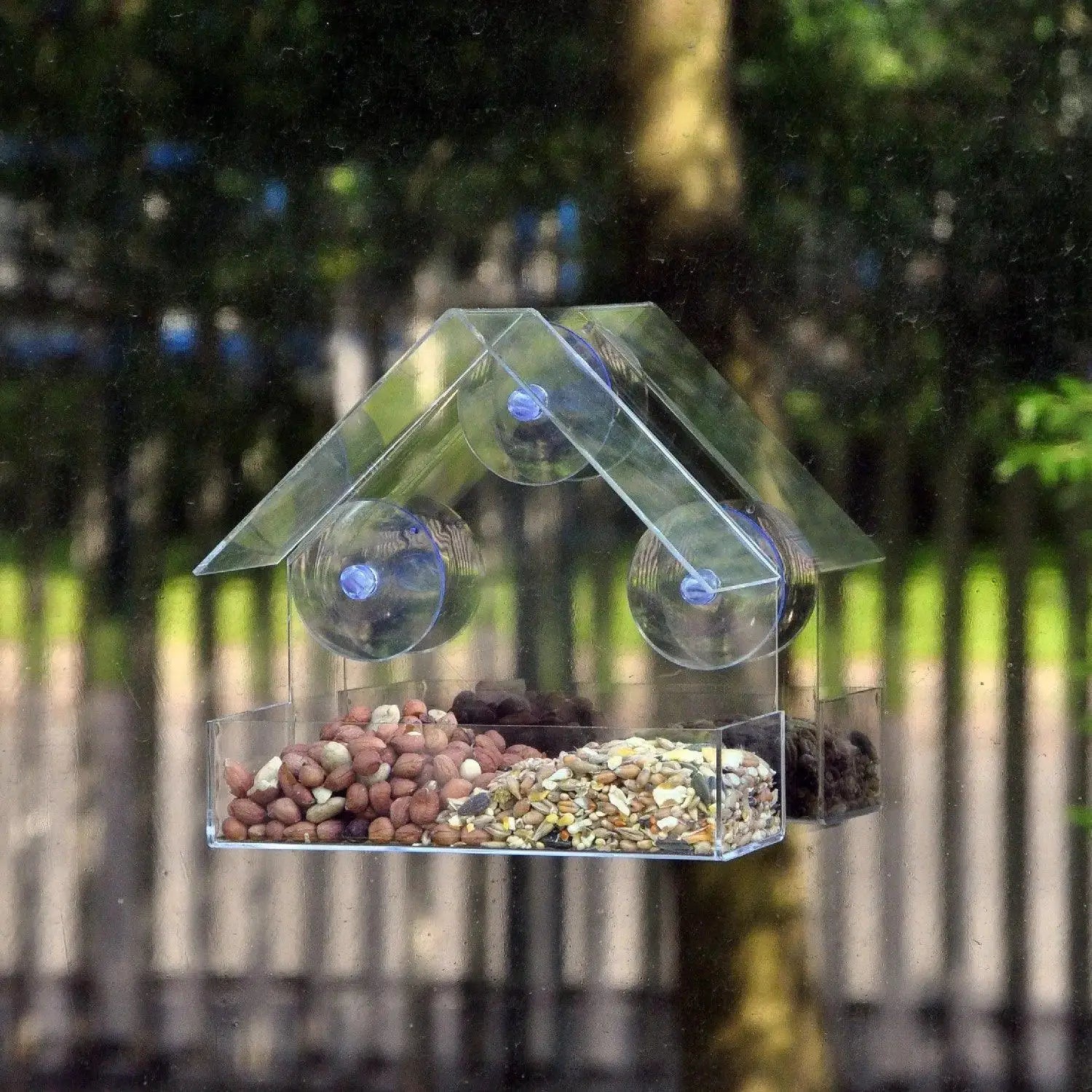 Bird Feeder Up Close Bird Watching And Pet Tray 14.5cm