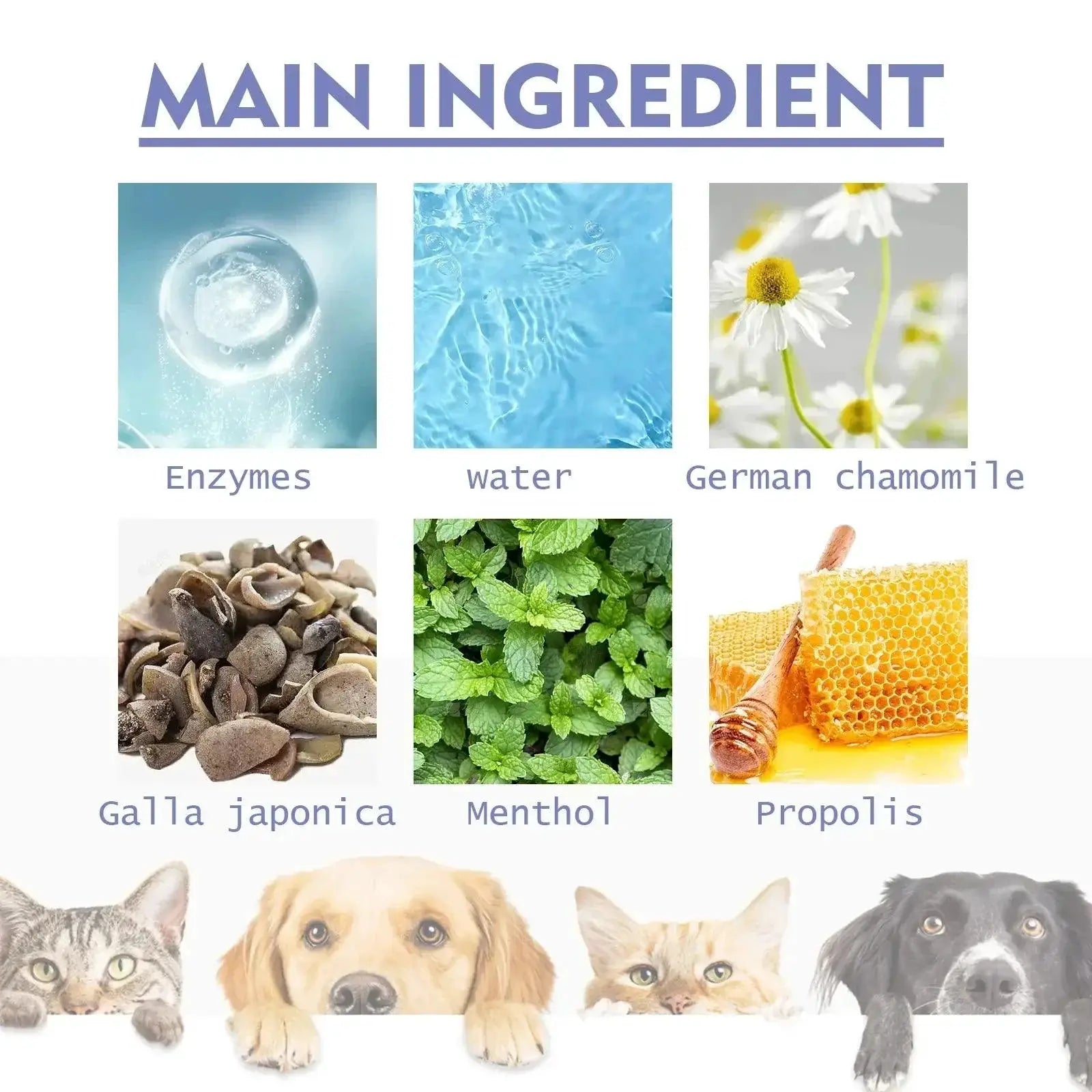 Pet Oral Care Spray Freshen Breath and Whiten Teeth