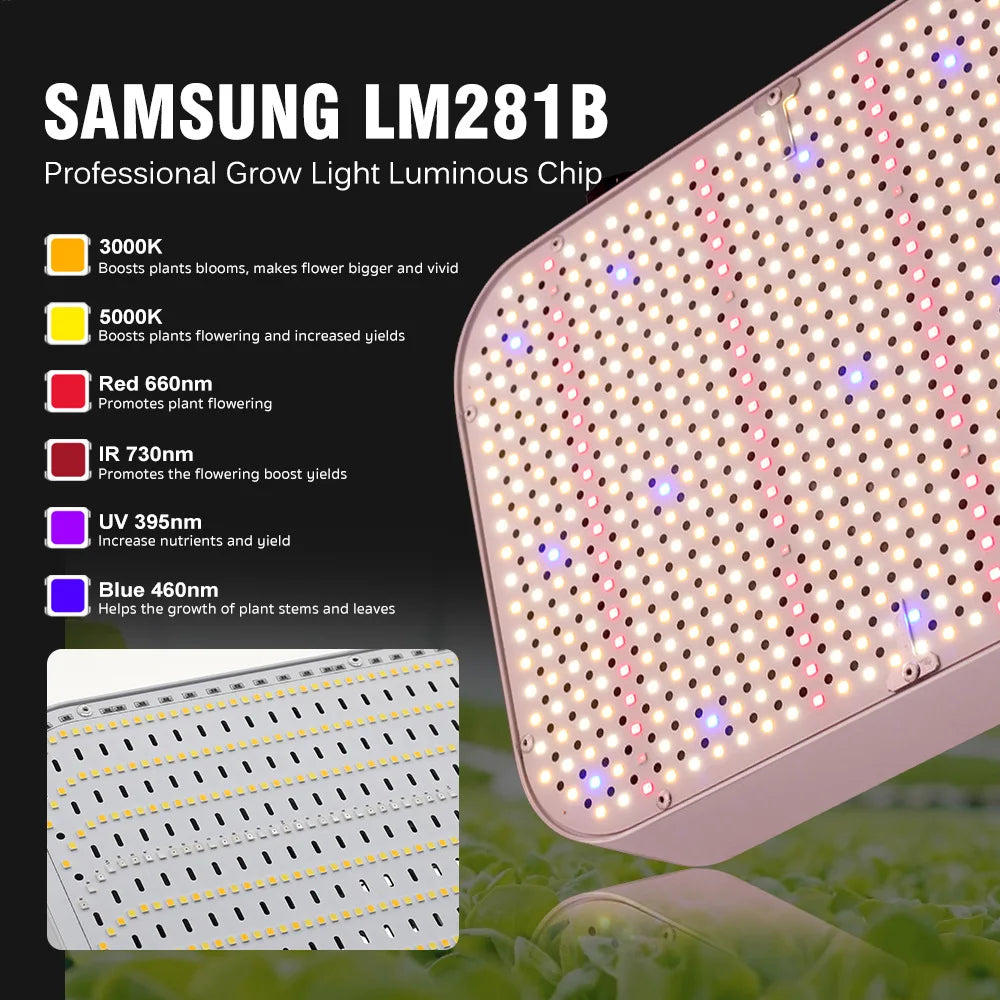 LED Grow Light