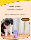 Autonomous Jumping Ball Cat Toy Indoors