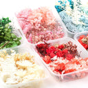 Artificial Plants & Real Dried Flowers for Home Decor