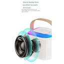 Portable Bluetooth 5.3 Speaker System With 2 Wireless Microphones