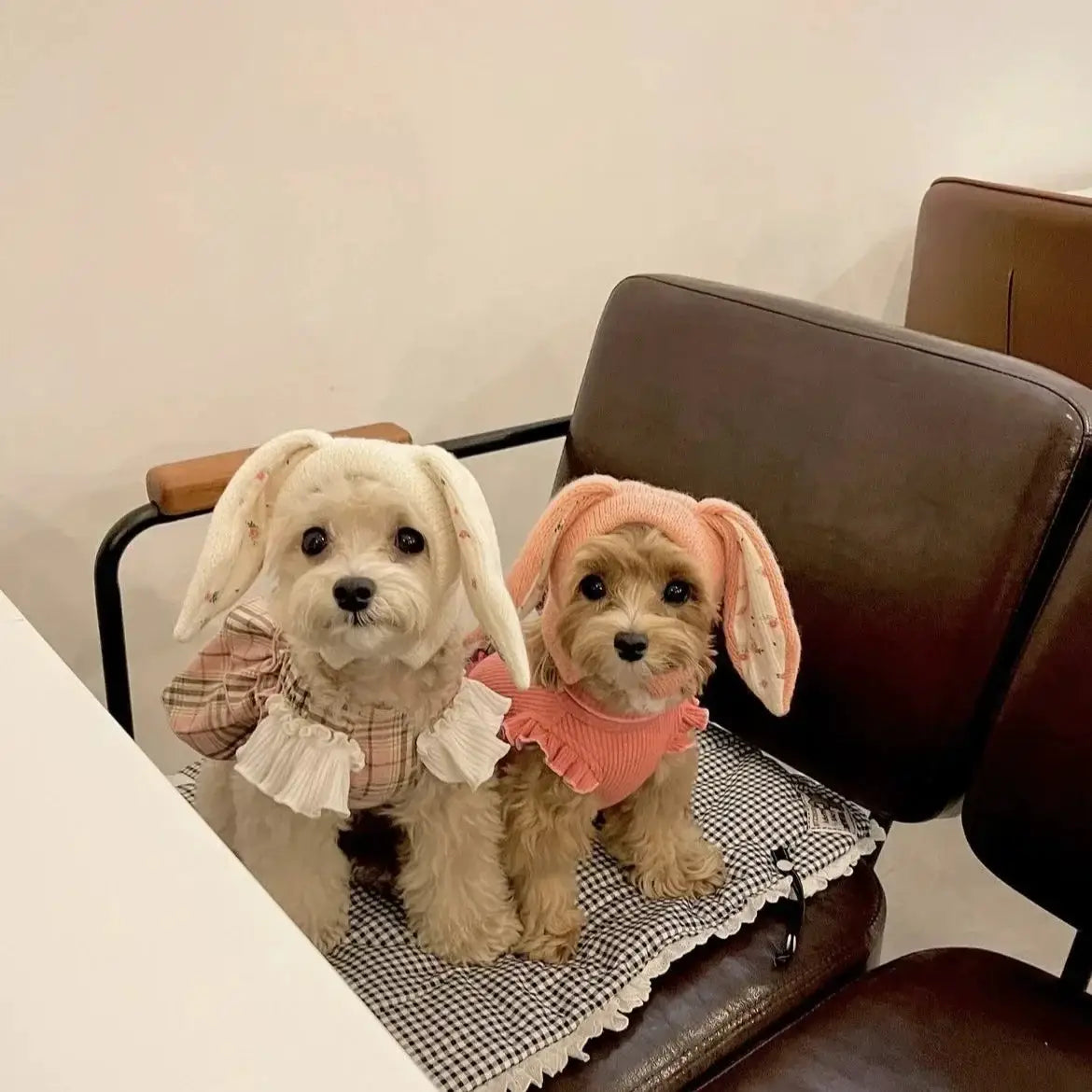 Cute Rabbit Ears Pet Knitted Hat For Autumn And Winter