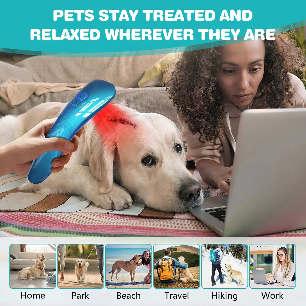 Pet Red Light Therapy Device for Dogs Cats Cold Laser — product view 4